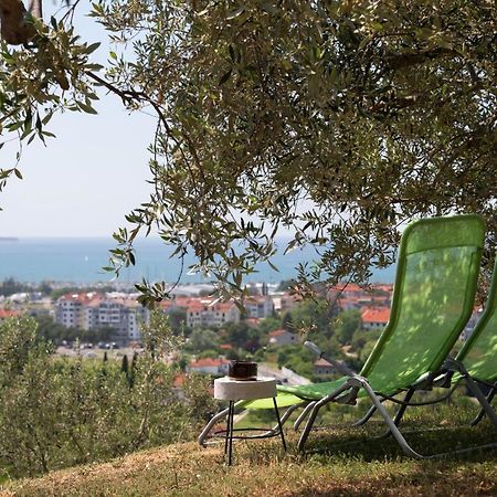 Villa Istrian Casa Ladonia By Locap Group Portorose Esterno foto