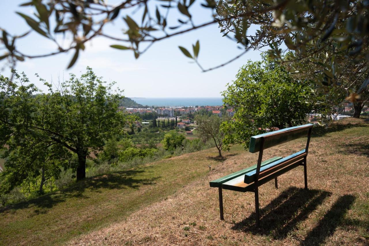 Villa Istrian Casa Ladonia By Locap Group Portorose Esterno foto