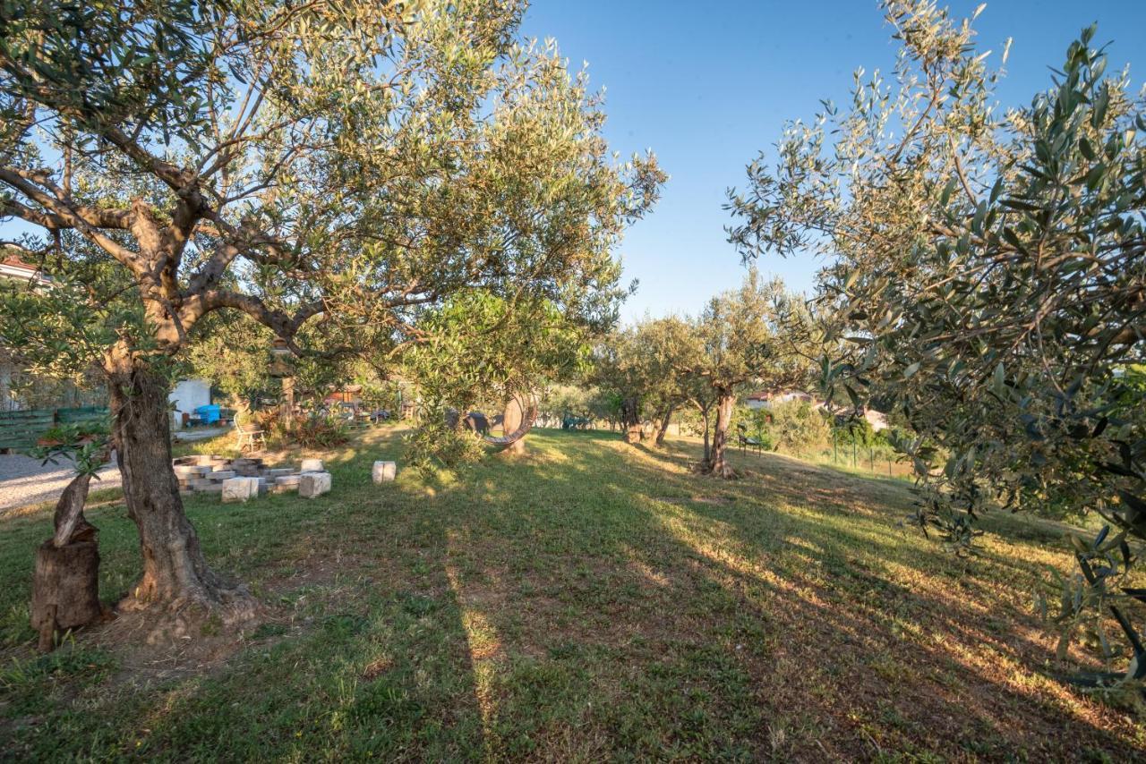 Villa Istrian Casa Ladonia By Locap Group Portorose Esterno foto
